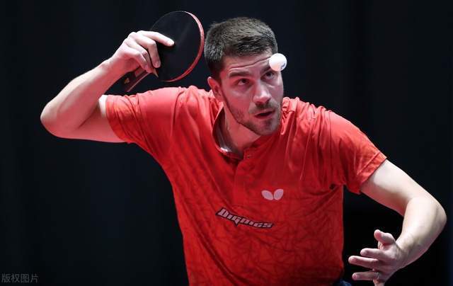 的防御基因 的防御基因